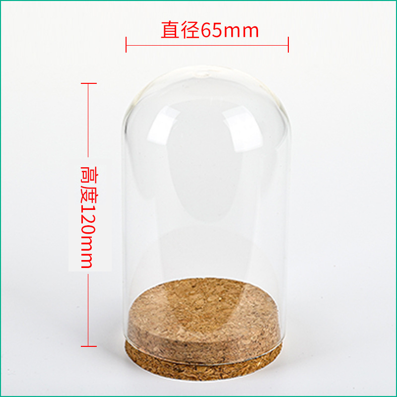 36pcs D65XH120mm Empty Clear G - مراجعة Wedding Zoo وسعره