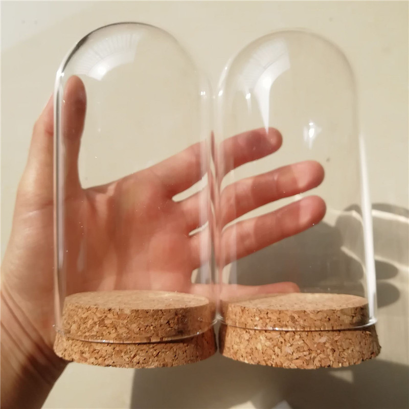 36pcs D65XH120mm Empty Clear G - مراجعة Wedding Zoo وسعره