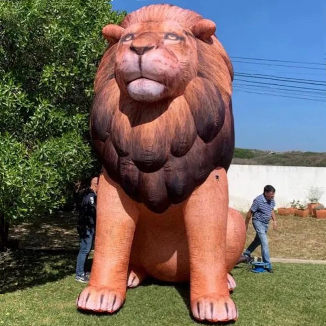 Giant LED Inflatable Lion Real - مراجعة Wedding Zoo وسعره