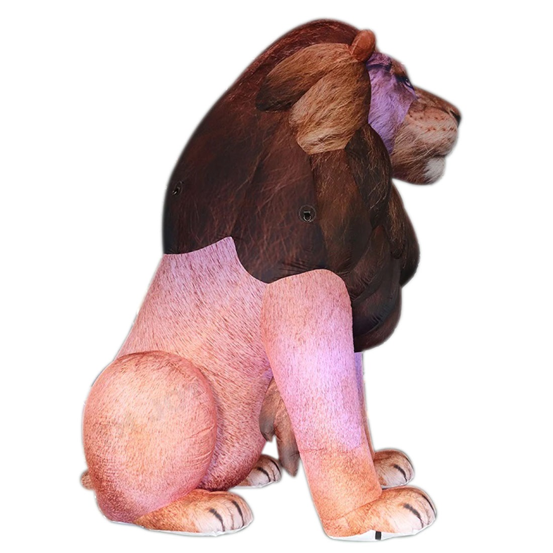 Giant LED Inflatable Lion Real - مراجعة Wedding Zoo وسعره